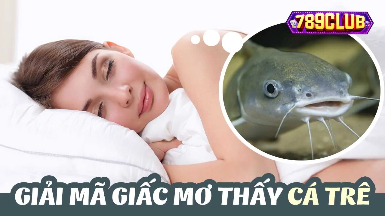 Chiêm bao thấy cá trê